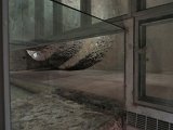 (71) Complesso Monastico - Ventre delle Cucine.JPG